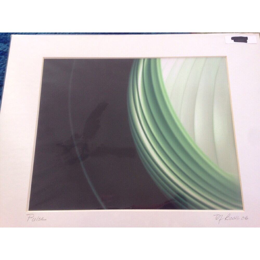 Modern Abstract Floral Lily Flower Digital Drawing Print Matted Deb Booth 11x14